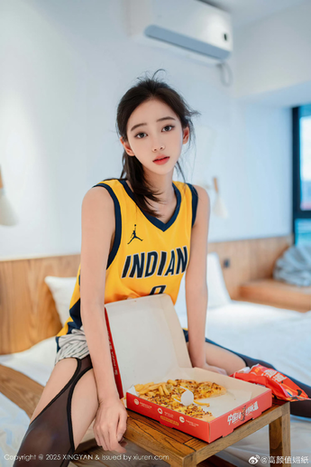 安装步骤示意图