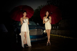 应用主界面展示